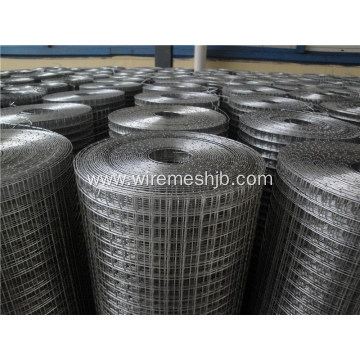 Galvanized Welded Wire Mesh In Rolls